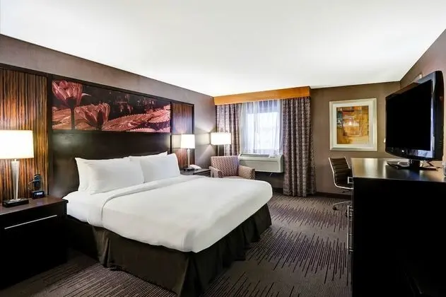 Executive Oda, Sigara İçilmez, Business Dinlenme Salonu Kullanımı (Concierge Level)