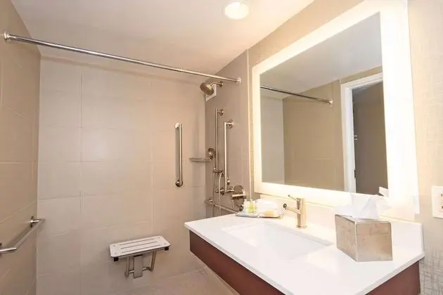Oda, Engellilere Uygun, Sigara İçilmez (Hearing Impaired/Roll-in Shower)