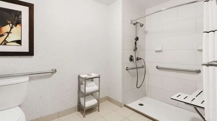 Süit, 1 En Büyük (King) Boy Yatak, Engellilere Uygun, Sigara İçilmez (Roll-in Shower)