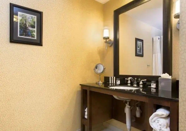 Two Room Suite,1 King Bed with Sofa Bed, Oversize Jetted Tub