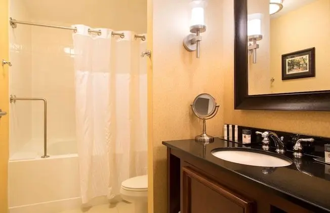 Two Room Suite,1 King Bed with Sofa Bed, Oversize Jetted Tub