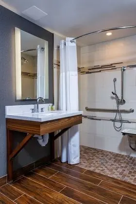 Oda, 1 En Büyük (King) Boy Yatak, Engellilere Uygun (Roll-In Shower, Mobility)