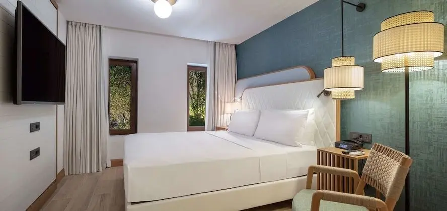 King Deluxe Room