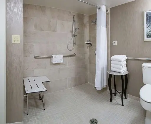 Oda, 1 En Büyük (King) Boy Yatak, Engellilere Uygun, Balkon (Roll In Shower)