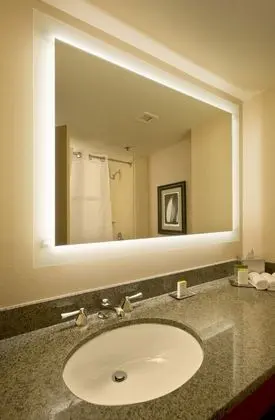 Deluxe Oda, 1 En Büyük (King) Boy Yatak, Engellilere Uygun (Executive, Roll-in Shower)