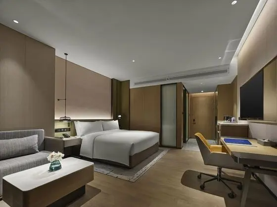 Deluxe Oda, 1 En Büyük (King) Boy Yatak (High Floor)