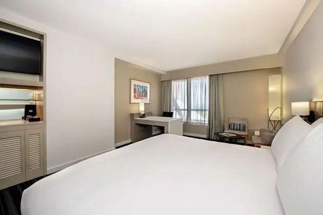 Executive Suite, 1 King Bed