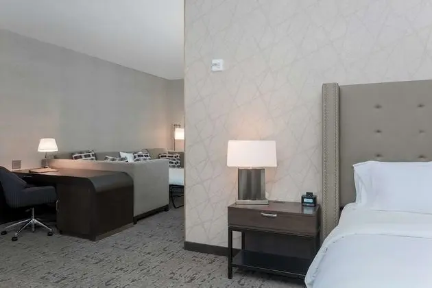 Süit, 1 En Büyük (King) Boy Yatak, Engellilere Uygun (Hearing)