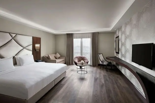 https://i.travelapi.com/lodging/7000000/6570000/6560300/6560270/77a3f478_z.jpg