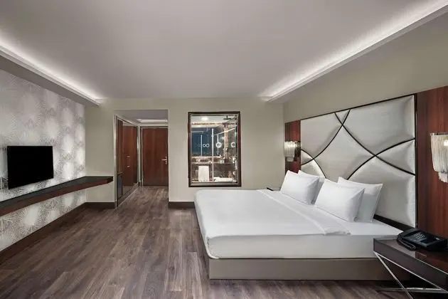 https://i.travelapi.com/lodging/7000000/6570000/6560300/6560270/9200dcf9_z.jpg