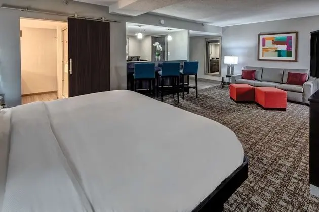 Junior Süit, 1 En Büyük (King) Boy Yatak, Sigara İçilmez