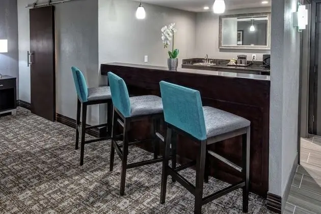 Junior Süit, 1 En Büyük (King) Boy Yatak, Sigara İçilmez