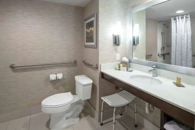 Oda, 1 En Büyük (King) Boy Yatak, Engellilere Uygun, Balkon (Accessible Tub, Hearing Accessible)