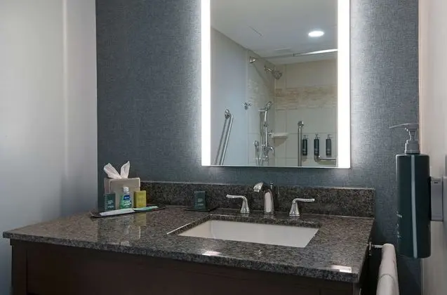 Oda, 1 En Büyük (King) Boy Yatak, Engellilere Uygun, Sigara İçilmez (Roll in Shower)