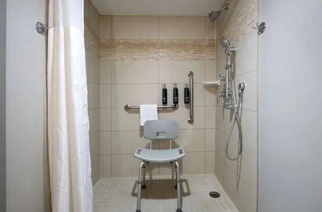 Oda, 1 En Büyük (King) Boy Yatak, Engellilere Uygun, Sigara İçilmez (Roll in Shower)