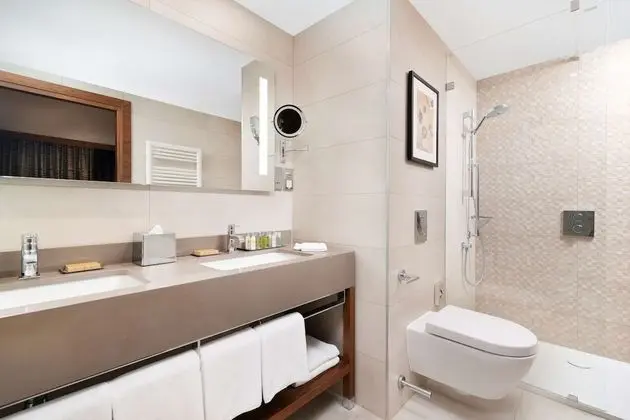 King, Süit, 1 Yatak Odası, Sigara İçilmez