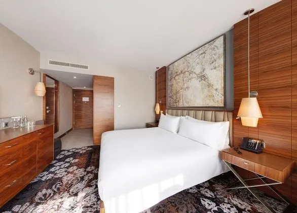 Oda, 1 En Büyük (King) Boy Yatak, Engellilere Uygun, Sigara İçilmez