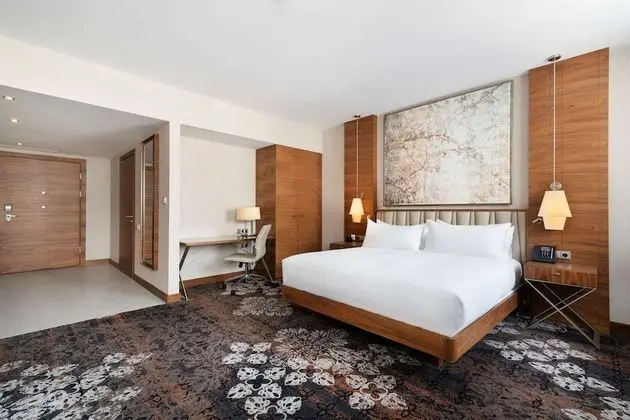 Oda, 1 En Büyük (King) Boy Yatak, Engellilere Uygun, Sigara İçilmez