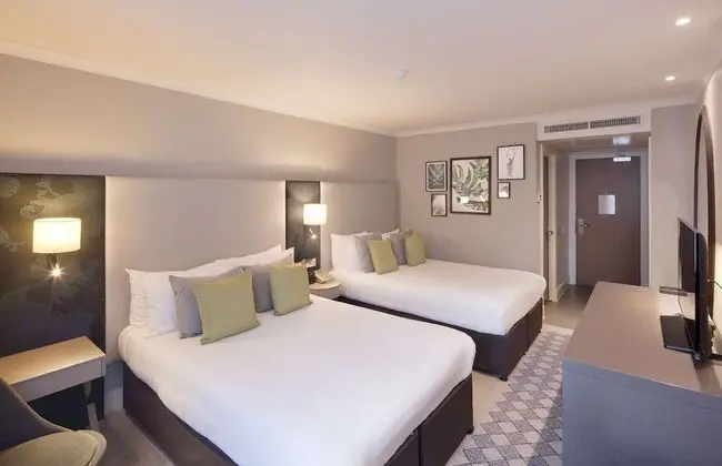 Deluxe Oda, 2 Çift Kişilik Yatak