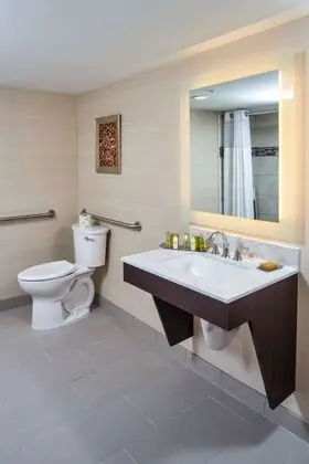 Oda, 1 En Büyük (King) Boy Yatak, Engellilere Uygun (Roll-In Shower)