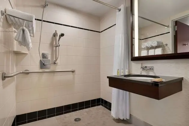 Oda, Engellilere Uygun, Sigara İçilmez (Roll-in Shower)