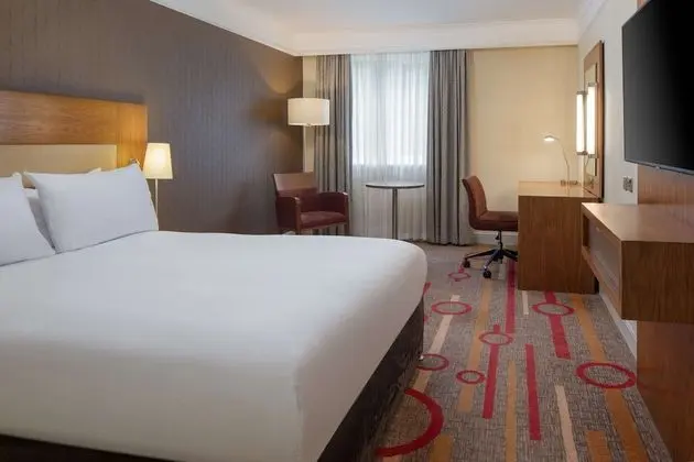 Deluxe Oda, 1 Büyük (Queen) Boy Yatak