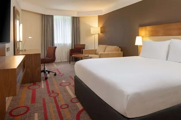 Deluxe Oda, 1 Büyük (Queen) Boy Yatak