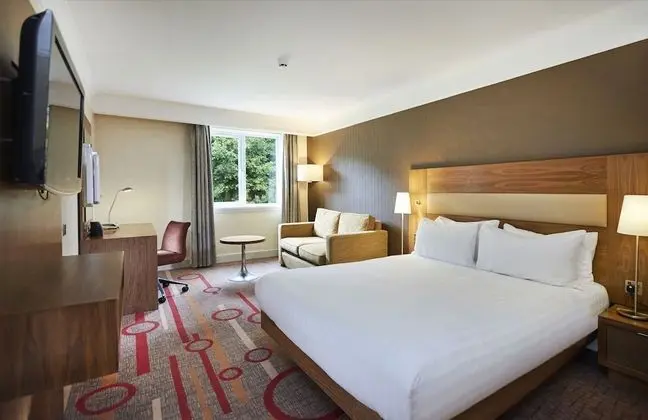 Family Oda, 1 Büyük (Queen) Boy Yatak