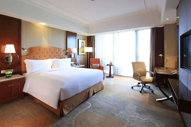 Executive Oda, Business Dinlenme Salonu Kullanımı (Balcony)