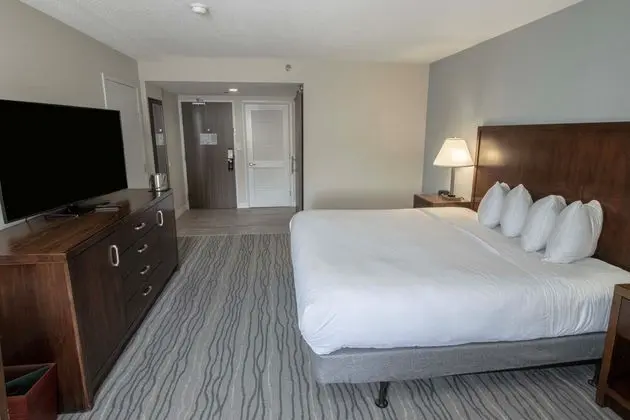 Oda, 1 En Büyük (King) Boy Yatak