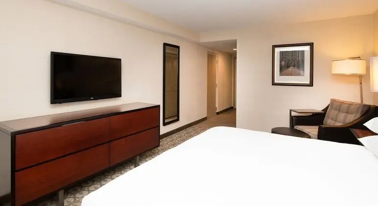 One Bedroom Suite, King Bed with Sofa Bed, Accessible (Hearing)