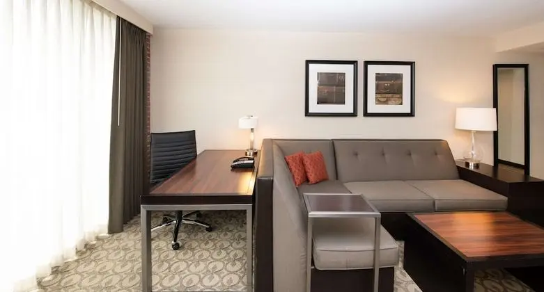 One Bedroom Suite, King Bed with Sofa Bed, Accessible (Hearing)