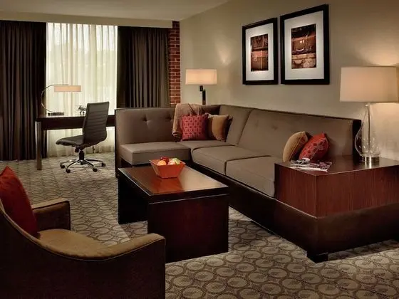 One Bedroom Suite, King Bed with Sofa Bed, Accessible (Hearing)