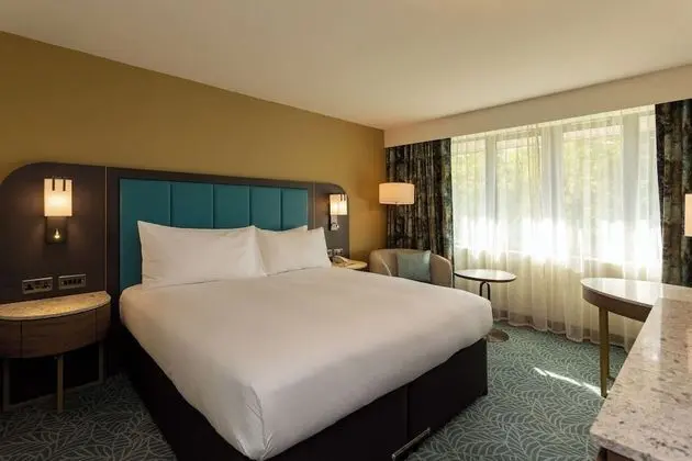 Superior Oda, 1 En Büyük (King) Boy Yatak