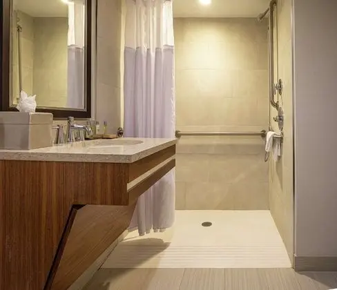 Süit, 1 En Büyük (King) Boy Yatak, Engellilere Uygun, Sigara İçilmez (Roll-in Shower)