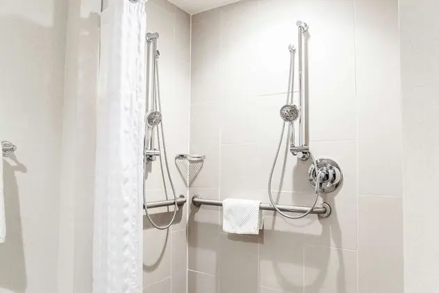 Süit, 1 Büyük (Queen) Boy Yatak, Engellilere Uygun (Mobility & Hearing, Roll-in Shower)