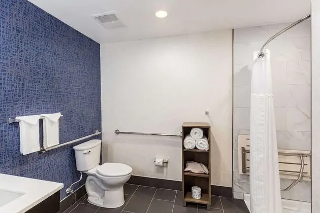 Oda, 1 En Büyük (King) Boy Yatak, Sigara İçilmez (Roll-in Shower, Little Extras Upgrade)
