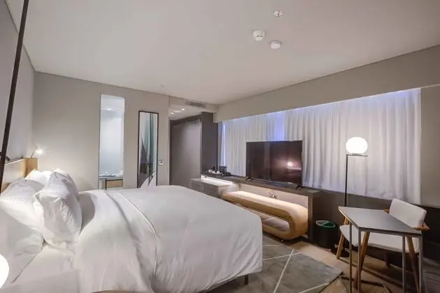 Superior Tek Büyük Yataklı Oda, 1 En Büyük (King) Boy Yatak