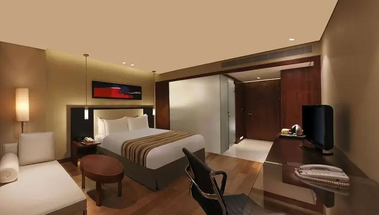 Executive Tek Büyük Yataklı Oda, 1 En Büyük (King) Boy Yatak