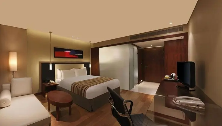 Executive Tek Büyük Yataklı Oda, 1 En Büyük (King) Boy Yatak