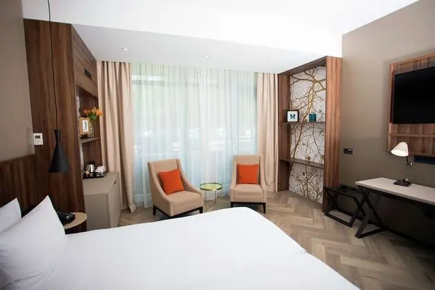 Deluxe Oda, 1 En Büyük (King) Boy Yatak