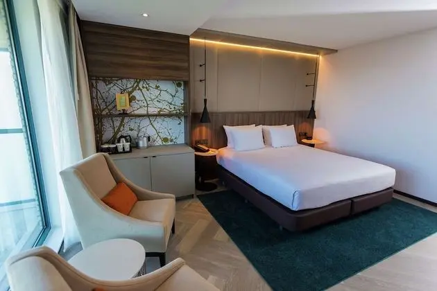 Deluxe Oda, 1 En Büyük (King) Boy Yatak