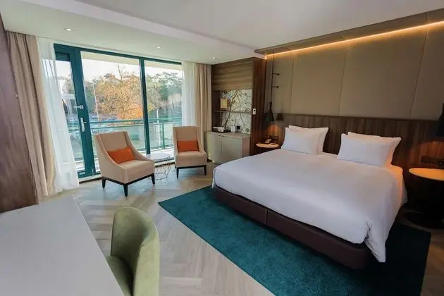 Deluxe Oda, 1 En Büyük (King) Boy Yatak