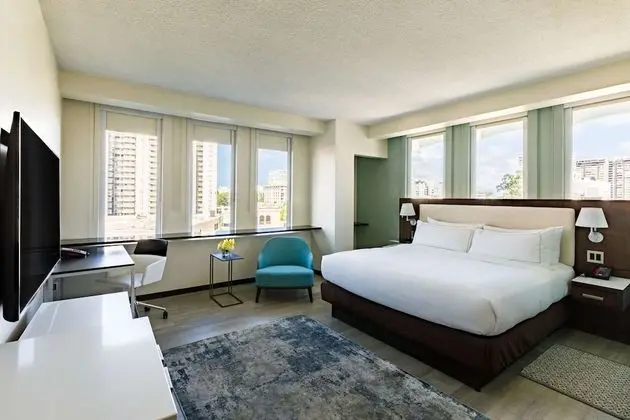 Room, 1 King Bed  Accessible