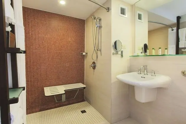 Room, 1 King Bed  Accessible