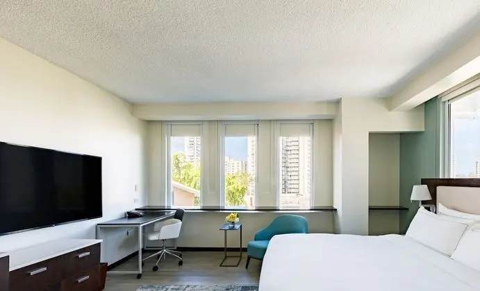 Room, 1 King Bed  Accessible