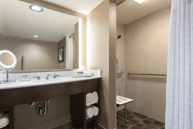 Oda, Engellilere Uygun, Sigara İçilmez (Roll-in Shower)
