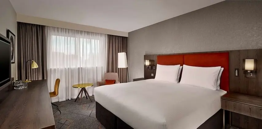 Deluxe Oda, 1 Çift Kişilik Yatak