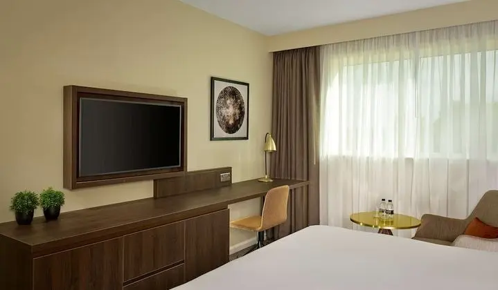 Deluxe Oda, 1 Çift Kişilik Yatak