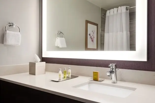 Oda, 1 En Büyük (King) Boy Yatak, Engellilere Uygun (3x3 Shower)